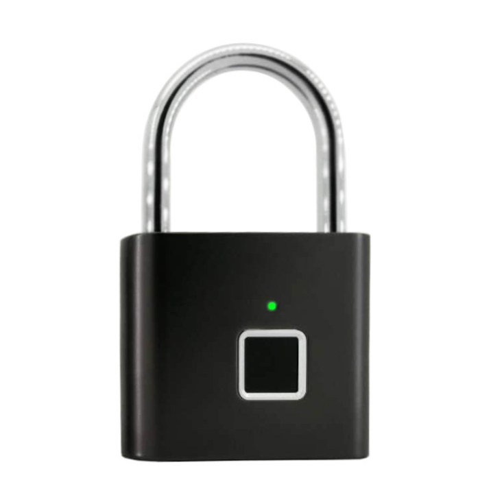 Fingerprint lock